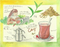 /album/water-colors-of-turkey/%e3%81%af%e3%81%8c%e3%81%8dcay001-jpg/